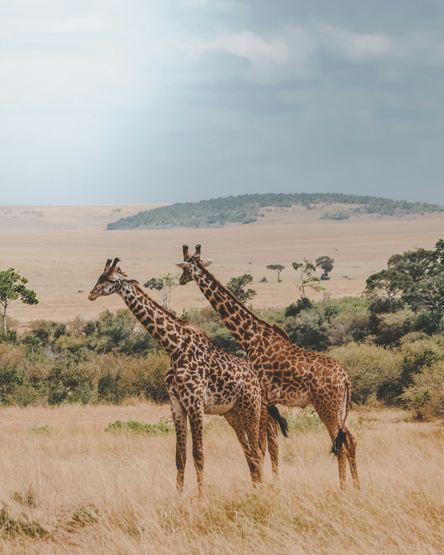 Top 5 Must-See Destinations in Tanzania