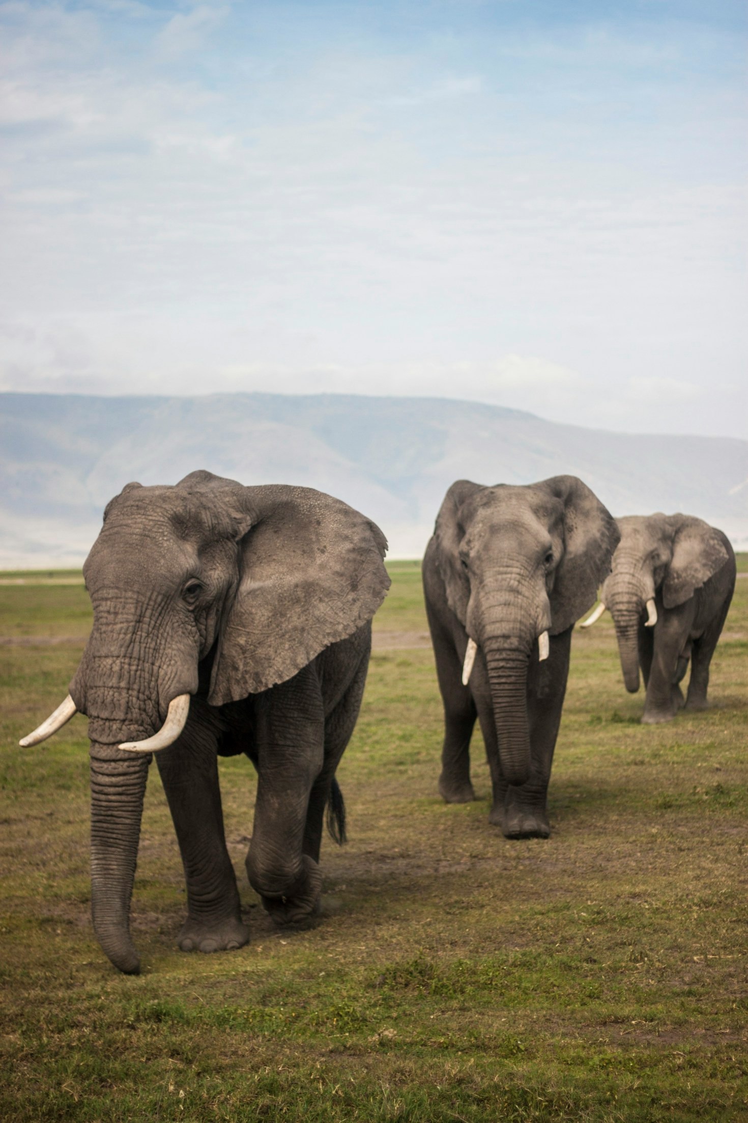 How to Prepare for Your Tanzanian Adventure