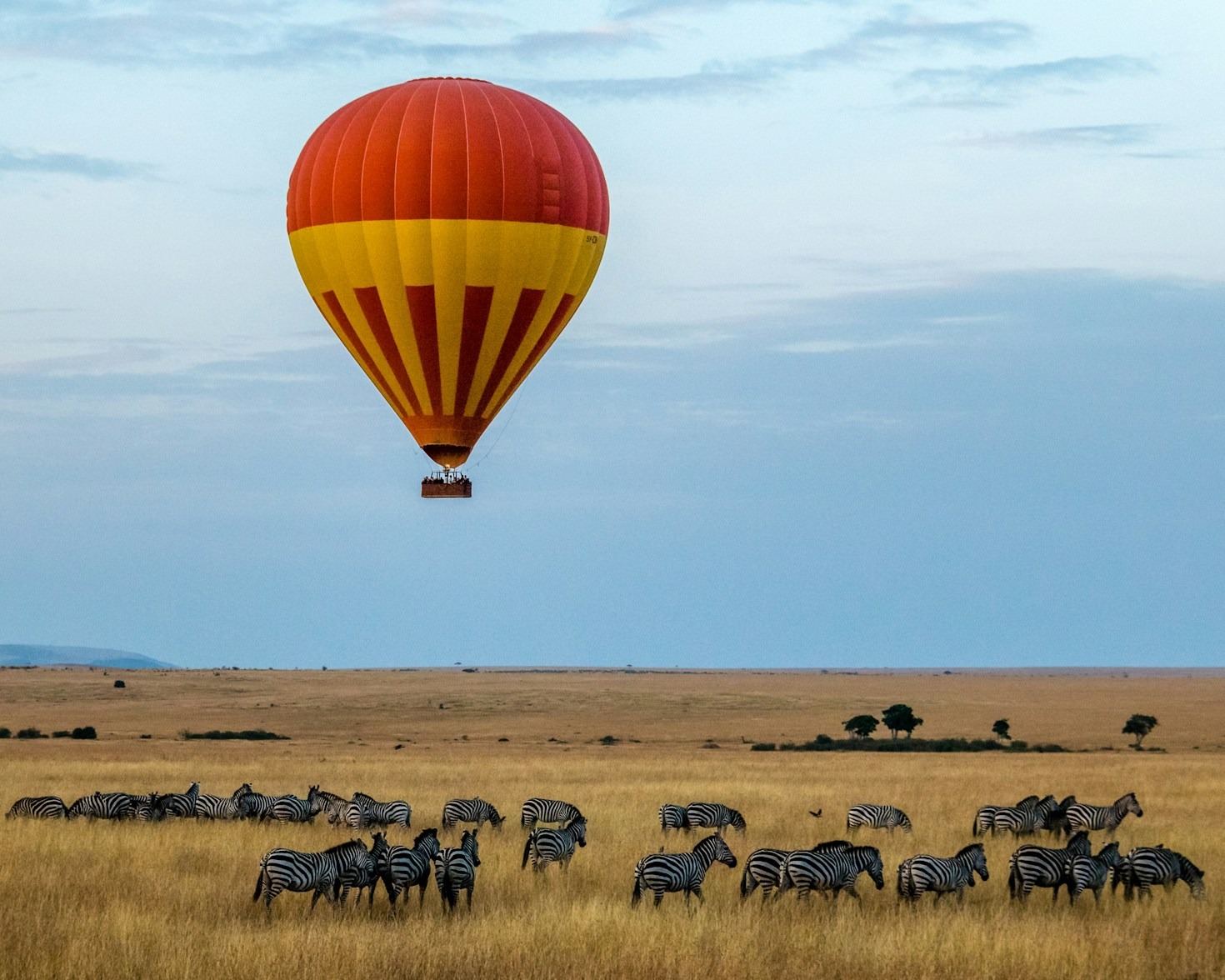 The Best Time of Year to Visit Arusha
